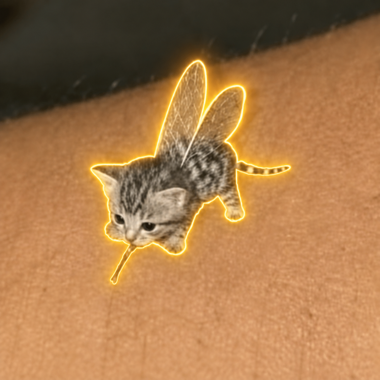 Flying cat